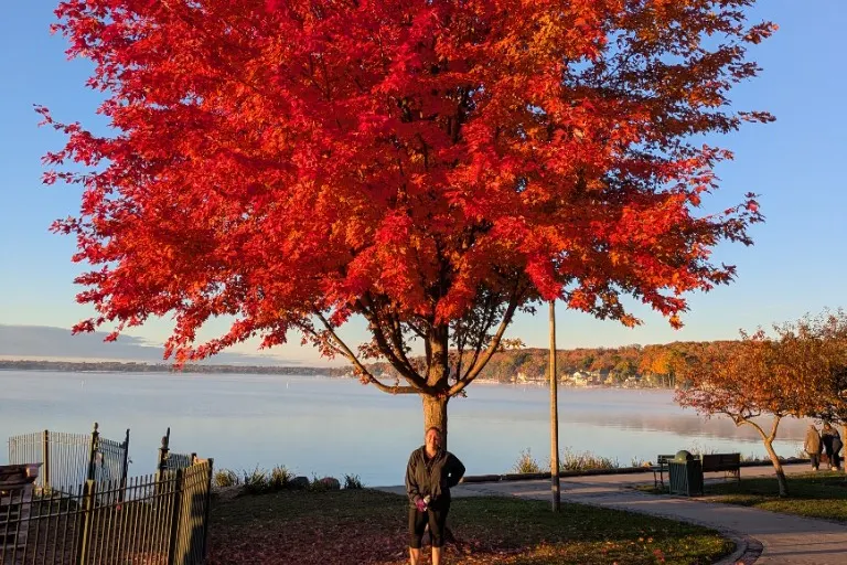 A woman standing under a red maple beside the lake in autumn